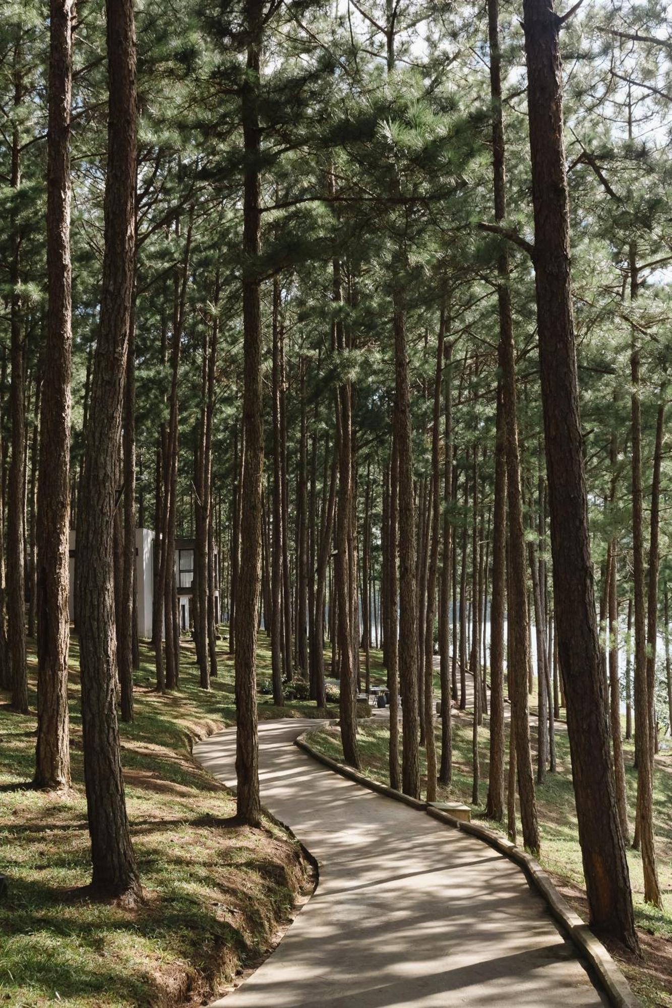 Terracotta Hotel & Resort Dalat Exteriör bild